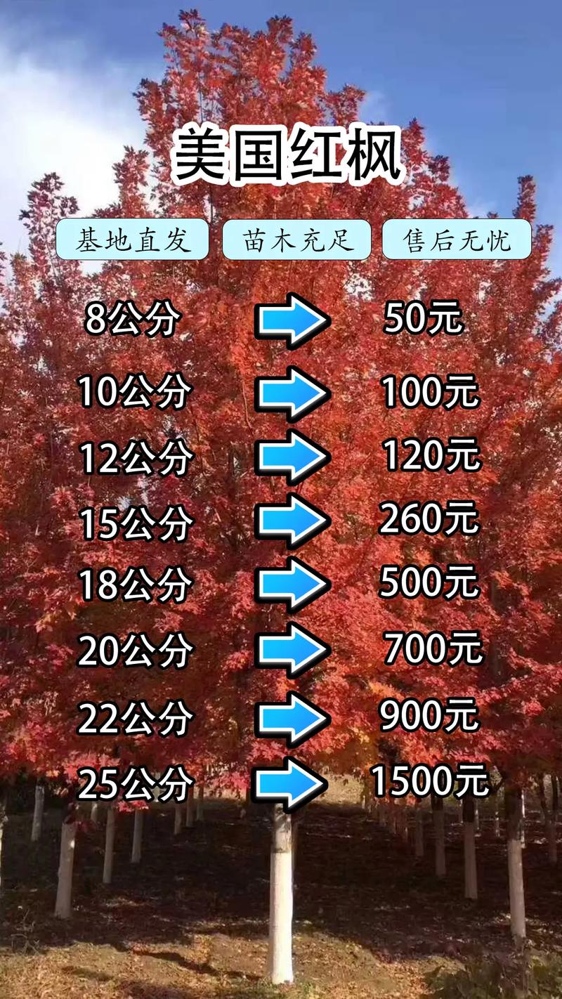 红枫树苗10公分多少钱?2026年价格参考与五大影响因素详解 综合价格速查表