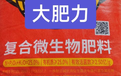 家庭土壤板结怎么办？改善土壤板结用什么肥料？6个步骤教你轻松解决
