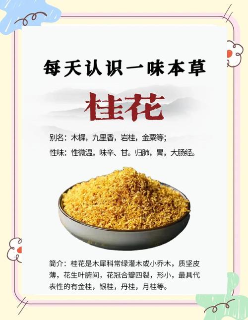 桂花做枕头对睡眠有帮助吗?园艺与健康的全方位解析 三、桂花助眠的科学依据