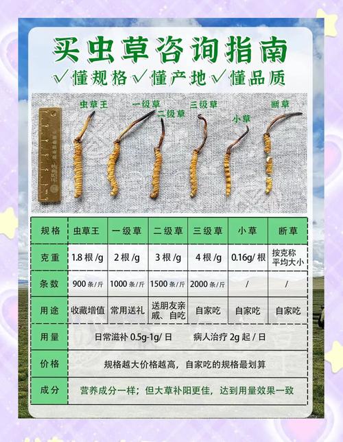 牧草价格多少钱?2025年最新市场报价与影响因素解析 采购数量对价格的影响
