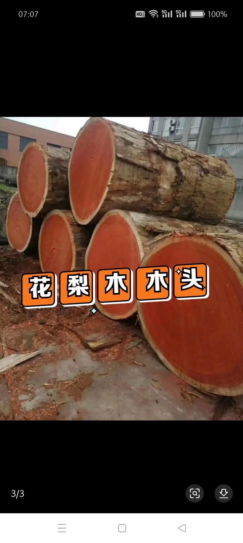 红花梨价格多少钱一方?2024-2025年最新市场报价与影响因素解析 季节:雨季与旱季的采购时机