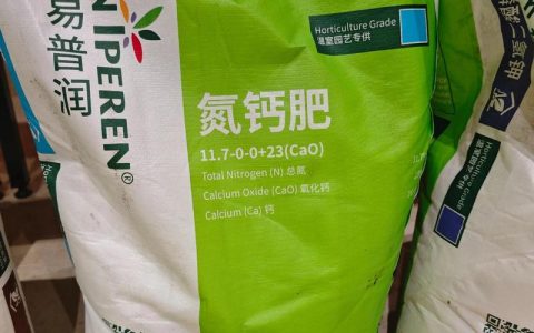 蓝莓种植成功的关键：选对苗、施对肥，2026年专用肥品牌实战推荐