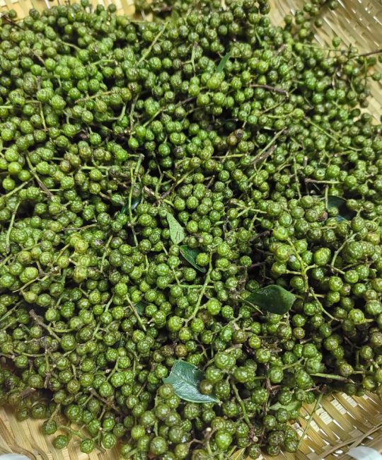 2026年花椒最新价格是多少？红花椒与青花椒价格差异分析