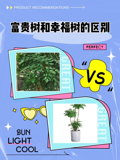 采购数量（批发与零售）