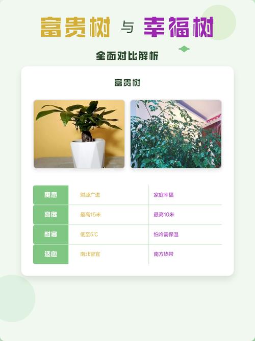 价格影响因素一览表