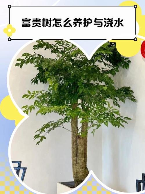 实时询价指南