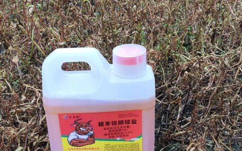 柑橘园安全除草指南：不伤树的高效除草剂选择与操作方法