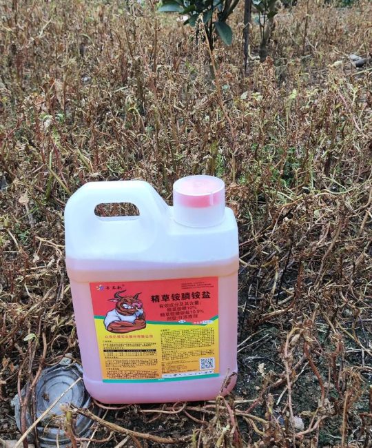 柑橘园安全除草指南：不伤树的高效除草剂选择与操作方法