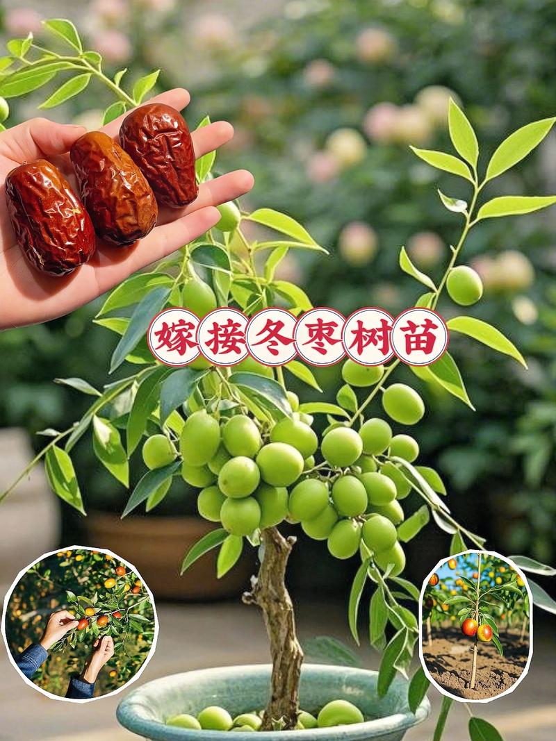 总结验证