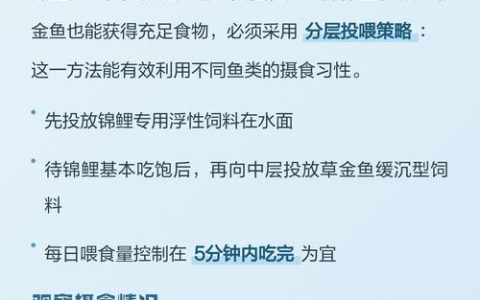 草金鱼可以和锦鲤一起养吗？混养注意事项全解析