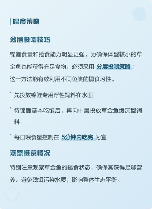 草金鱼可以和锦鲤一起养吗?混养注意事项全解析 一、混养可行性:共性大于差异