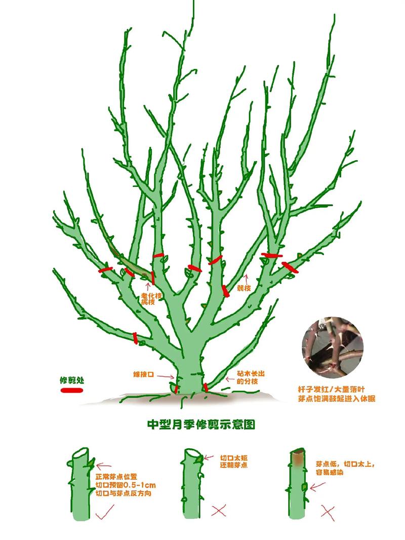 常见误区与纠正