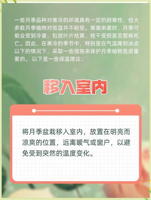 总结
