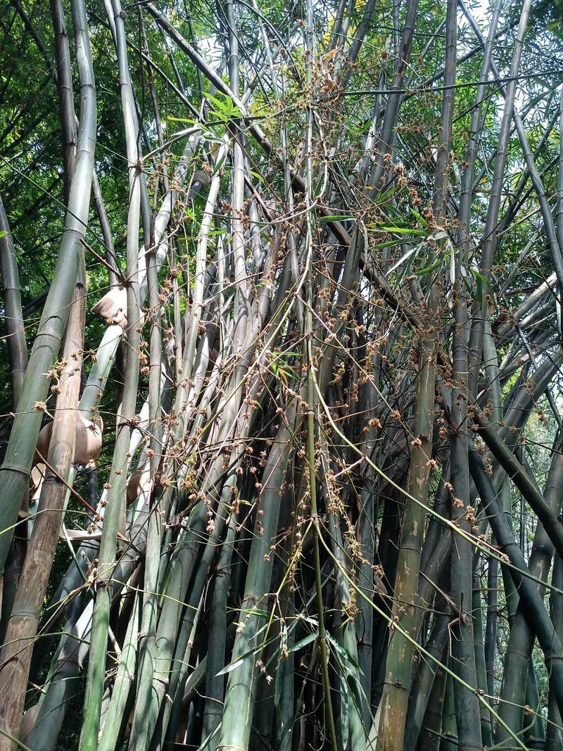总结