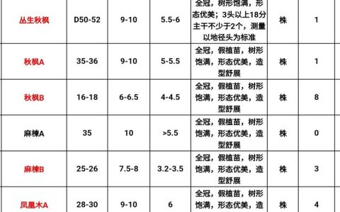 梧桐树价格多少钱一棵？2026年最新报价参考