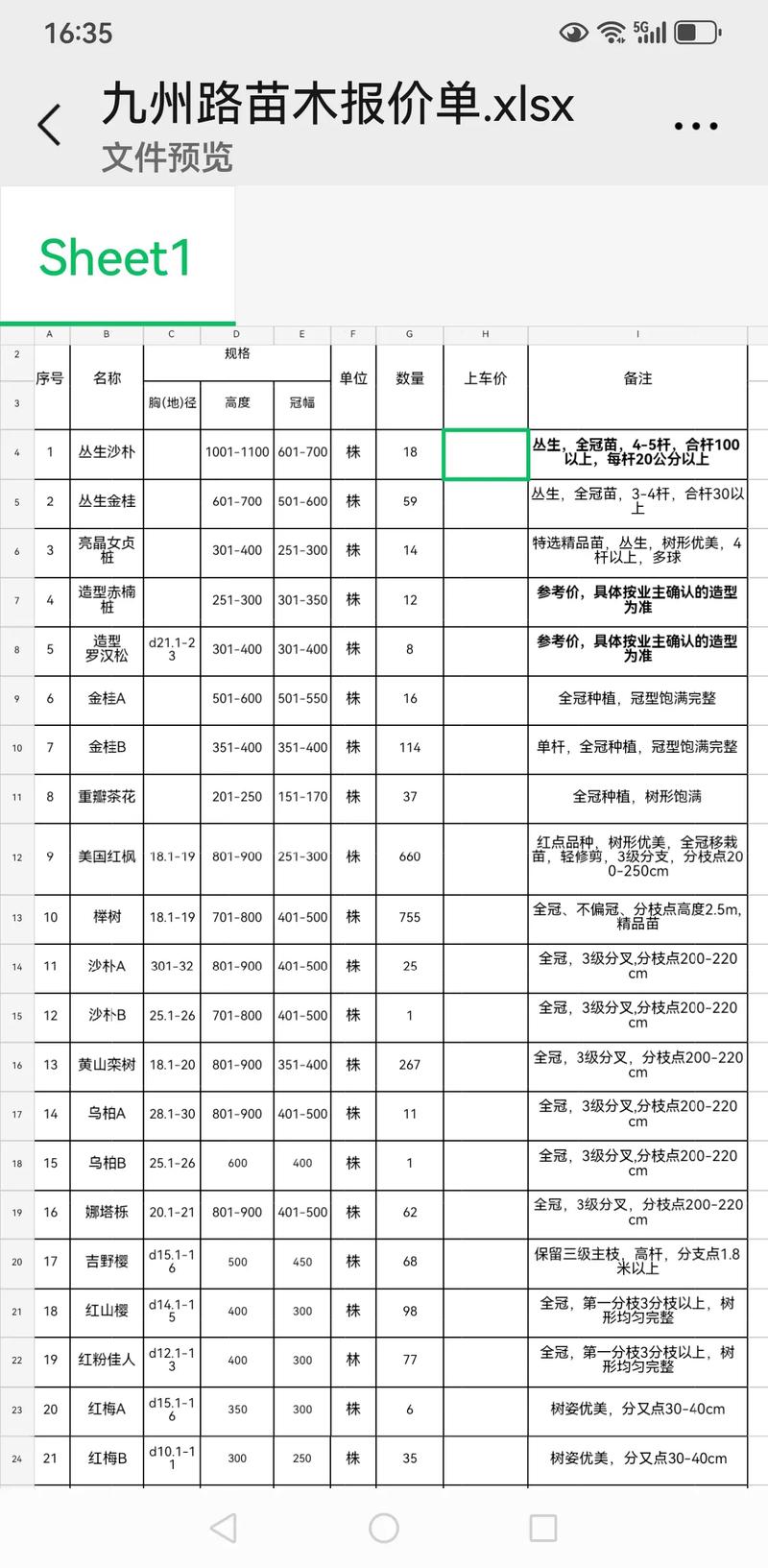 梧桐树价格多少钱一棵?2026年最新报价参考 规格:核心定价维度