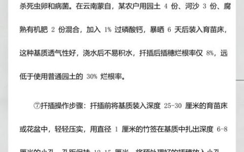 石榴树什么时候扦插成活率高？最佳时间与操作指南