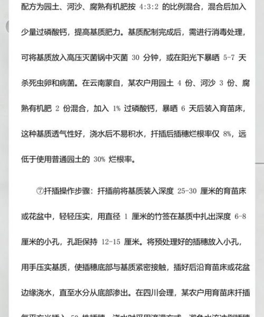 石榴树什么时候扦插成活率高？最佳时间与操作指南