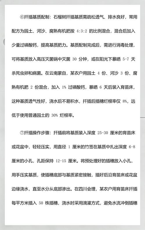 石榴树什么时候扦插成活率高?最佳时间与操作指南 石榴树什么时候扦插成活率高?最佳时间与操作指南