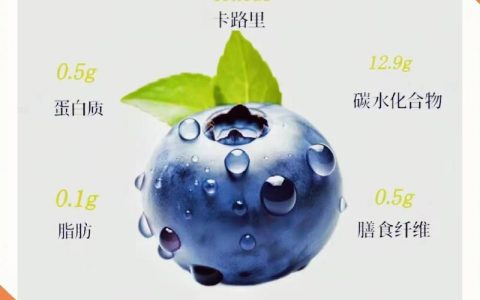2026年蓝莓多少钱一斤？产地、季节与规格影响报价详情