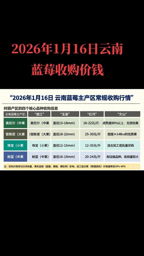 2026年蓝莓多少钱一斤?产地、季节与规格影响报价详情 规格因素