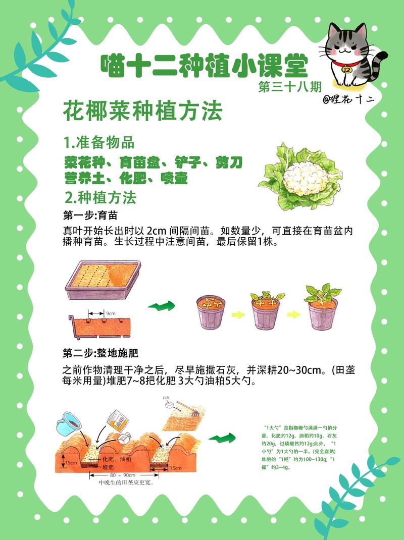 搞花卉种植利润大吗?深度解析花卉种植的经济效益与实战策略 二、高利润花卉品种推荐(附成本利润表)