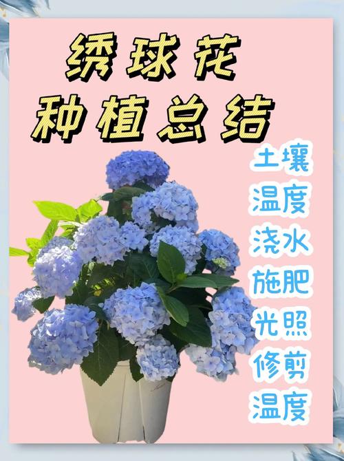 搞花卉种植利润大吗?深度解析花卉种植的经济效益与实战策略 总结:3个核心可执行动作