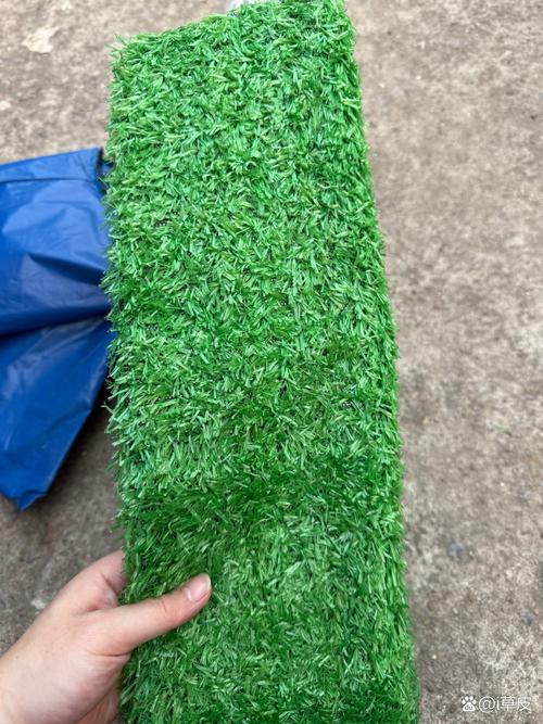 哪里有卖马尼拉草皮?2026年采购渠道与质量核查指南(附避坑清单) 常见错误与规避