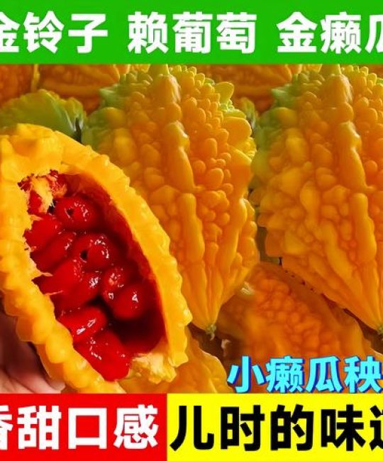 癞葡萄科学种植全攻略：时间、土壤与成活技巧