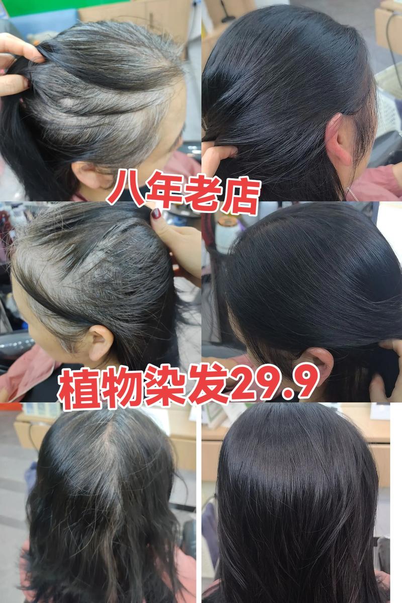 从花园到秀发:种植自己的天然植物染发剂 园艺种植:从一粒种子开始