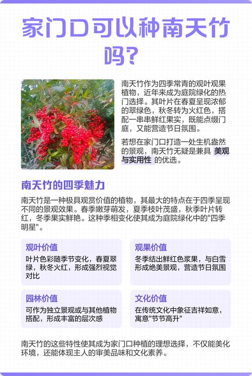 庭院大门两旁种南天竹好吗?科学养护与观赏价值全解析 六、风险提示与禁忌