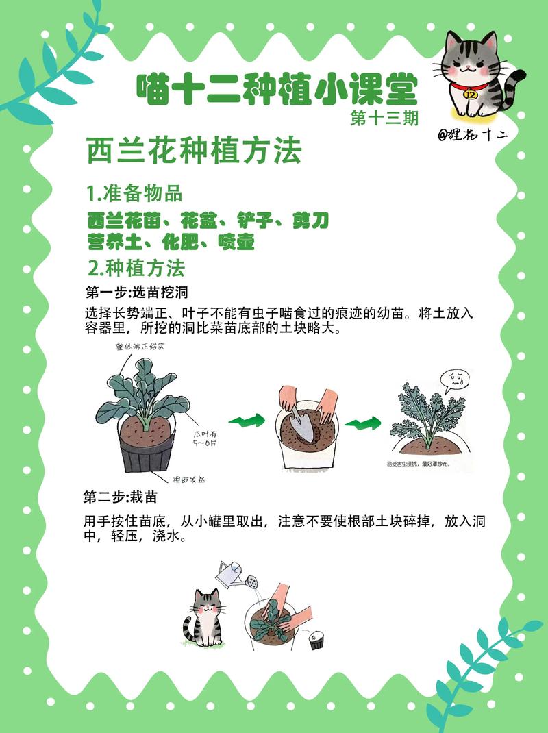 兰花什么时候种比较好?完整种植时间指南与操作步骤 二、土壤环境