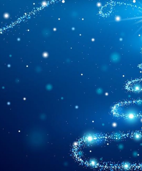 圣诞树为什么有星星：从园艺传统到文化象征的深度解读