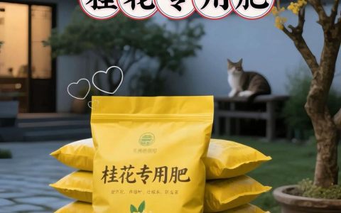 桂花喜欢什么肥料？家庭养护施肥指南