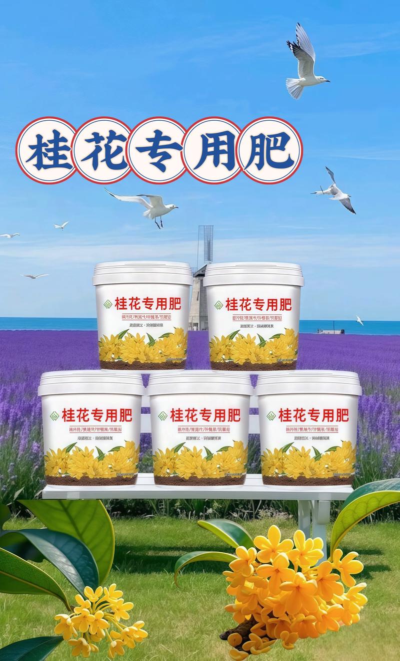 桂花喜欢什么肥料?家庭养护施肥指南 光照:充足散射光,桂花更爱“晒太阳”