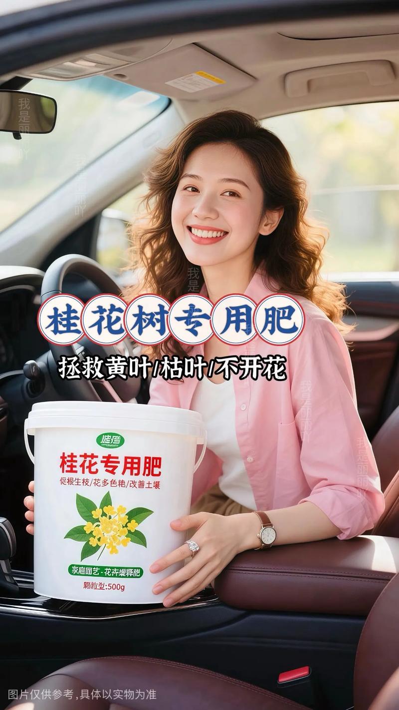 桂花喜欢什么肥料?家庭养护施肥指南 换盆:每1-2年换一次盆,比“补肥”更能维持活力
