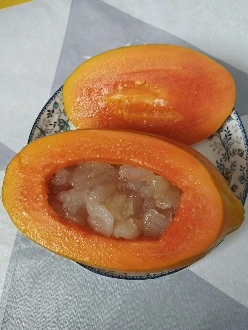 木瓜园艺与美食:木瓜炖雪蛤怎么做好吃(附种植全攻略) 一、木瓜的园艺基础:选对品种与营造环境
