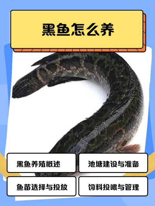 综合评估结论