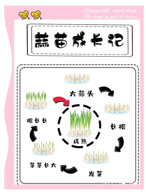 四、栽植深度