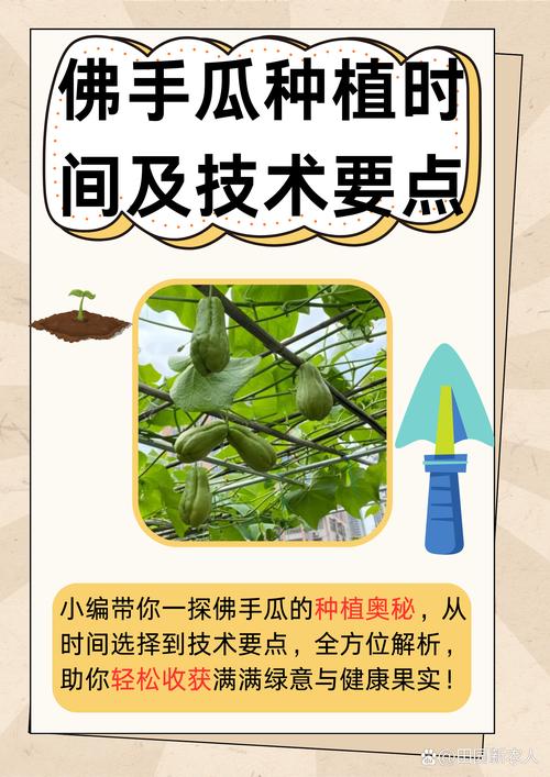 五、浇定根水