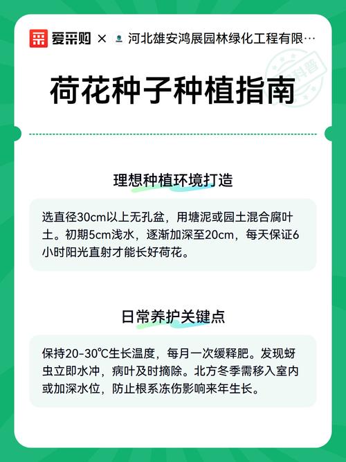 育苗与移栽的关键参数
