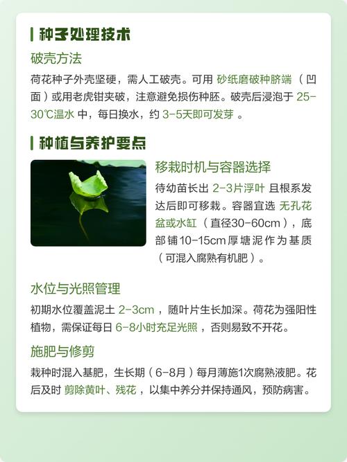 常见错误与解决方案