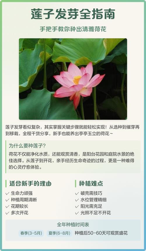 常见问题（FAQ）