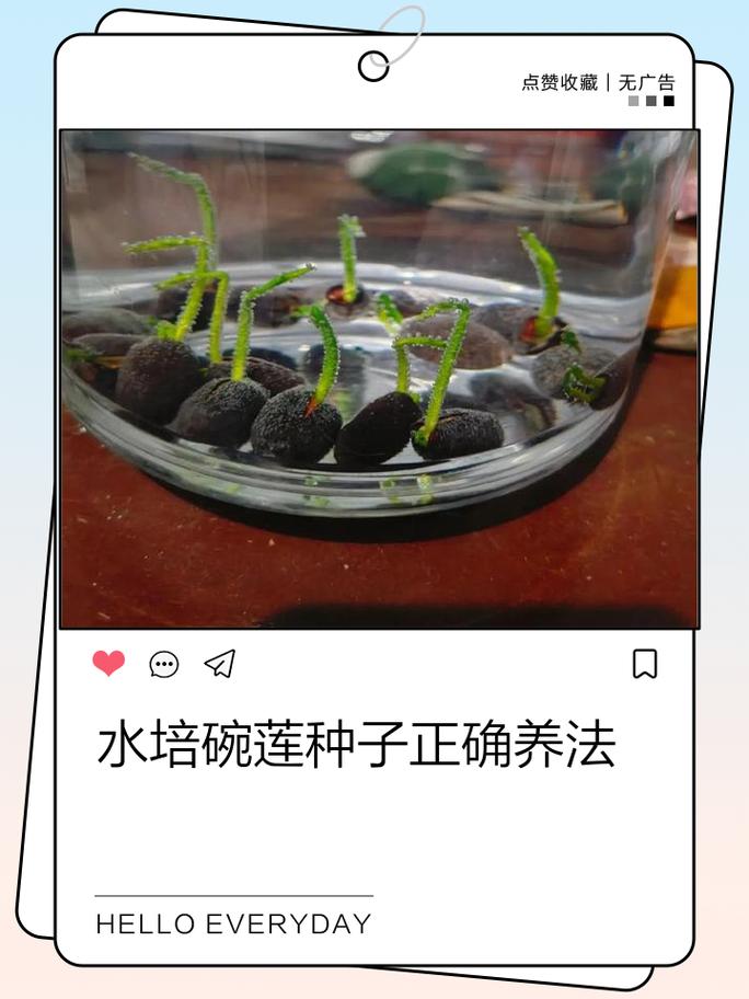总结