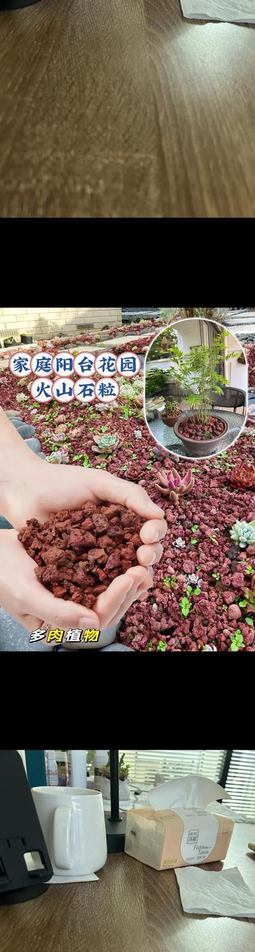 缓苗管理（栽后7-15天）