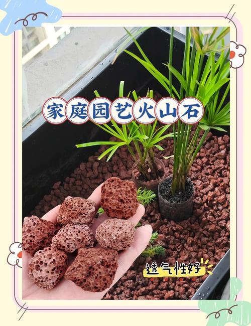 常见问题与补救措施