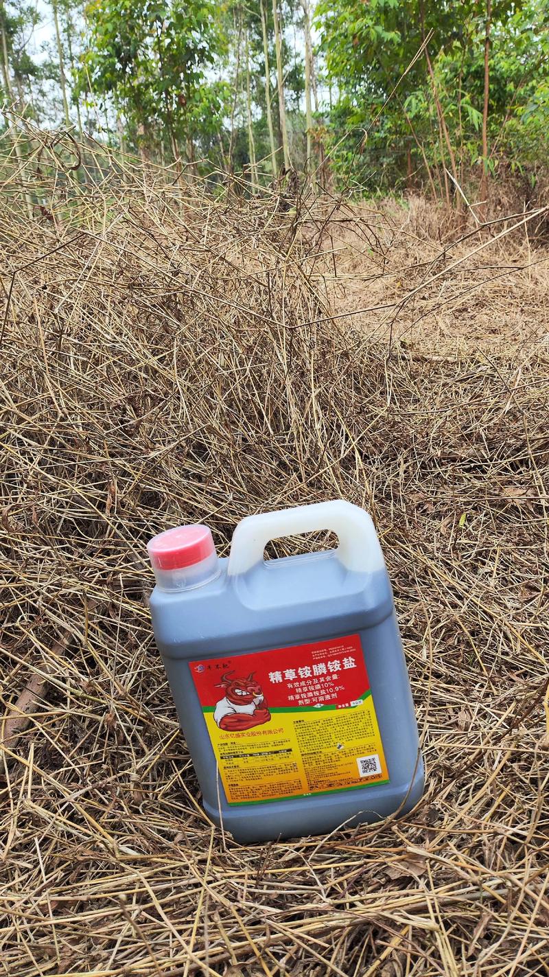 杨树苗地专用除草剂怎么选?专业除草方案与安全操作指南 杨树苗地专用除草剂怎么选?专业除草方案与安全操作指南