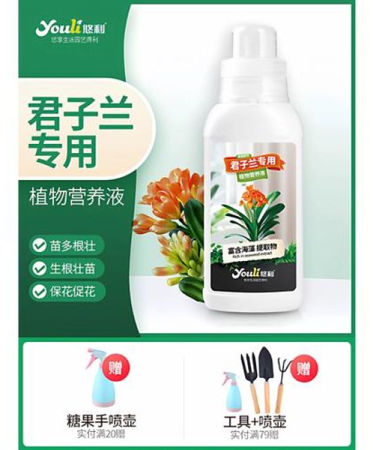 君子兰施肥用什么肥料？家庭养护全攻略
