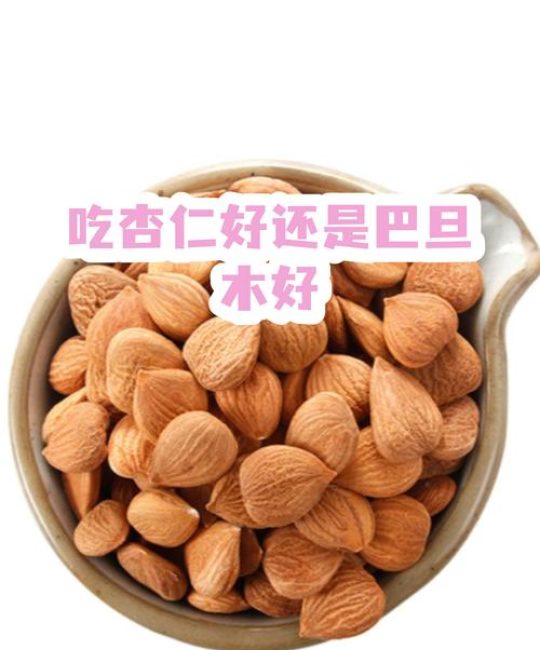 巴旦木跟杏仁是一样的吗？园艺师带你分清这两种“核”心果树