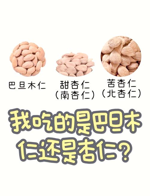 巴旦木跟杏仁是一样的吗?园艺师带你分清这两种“核”心果树 家庭园艺种植小贴士